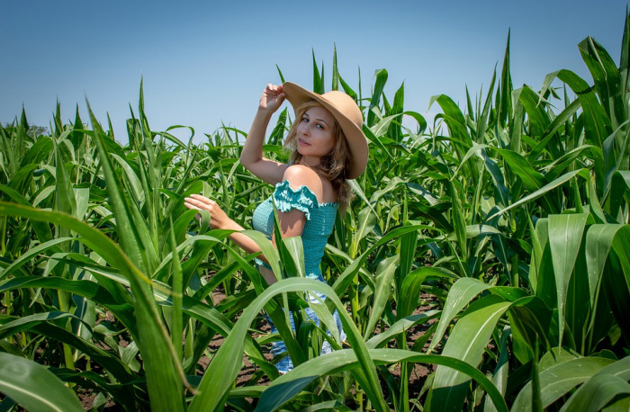 девушка в кукурузном поле