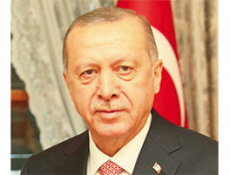 Турция и Тюркский мир: амбиции, успехи, проблемы